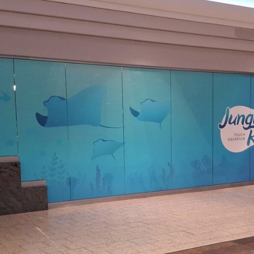 Window & Wall Graphics